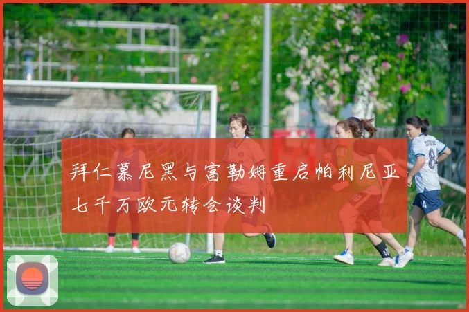 拜仁慕尼黑与富勒姆重启帕利尼亚七千万欧元转会谈判